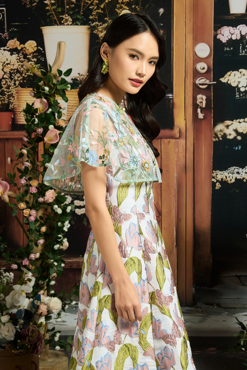 AURORA IN TULIP DAYDREAM